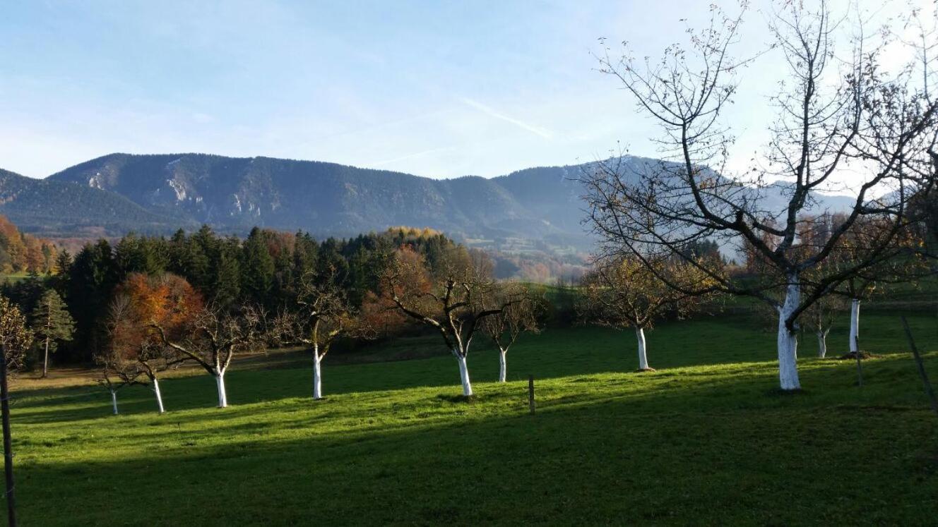 Weissnhof Villa Samerberg Luaran gambar